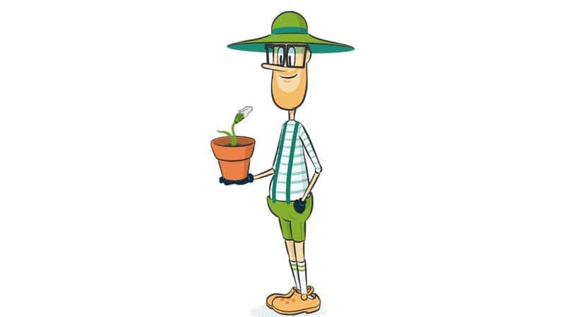 Illustration for managed hosting-MaiNetCare - Gerry with network plug plant
