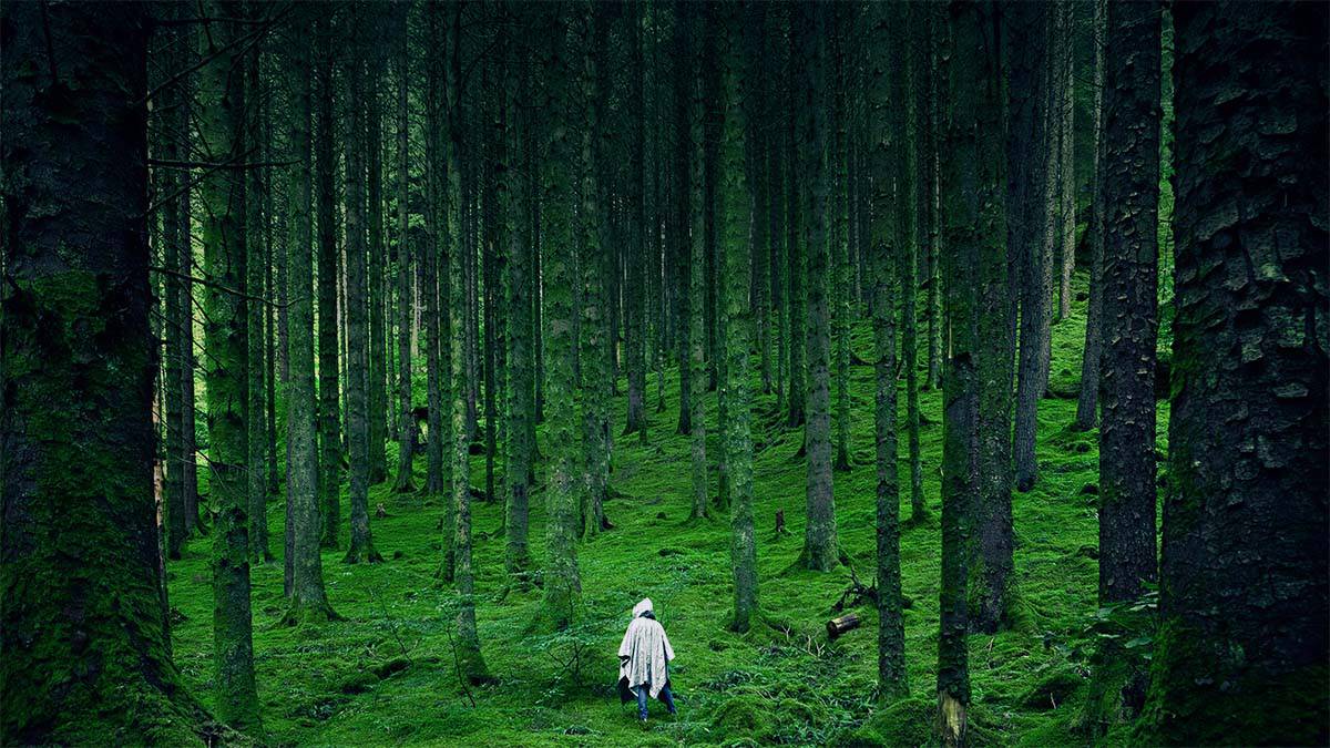 Ein Abenteurer erkundet einen Zauberwald