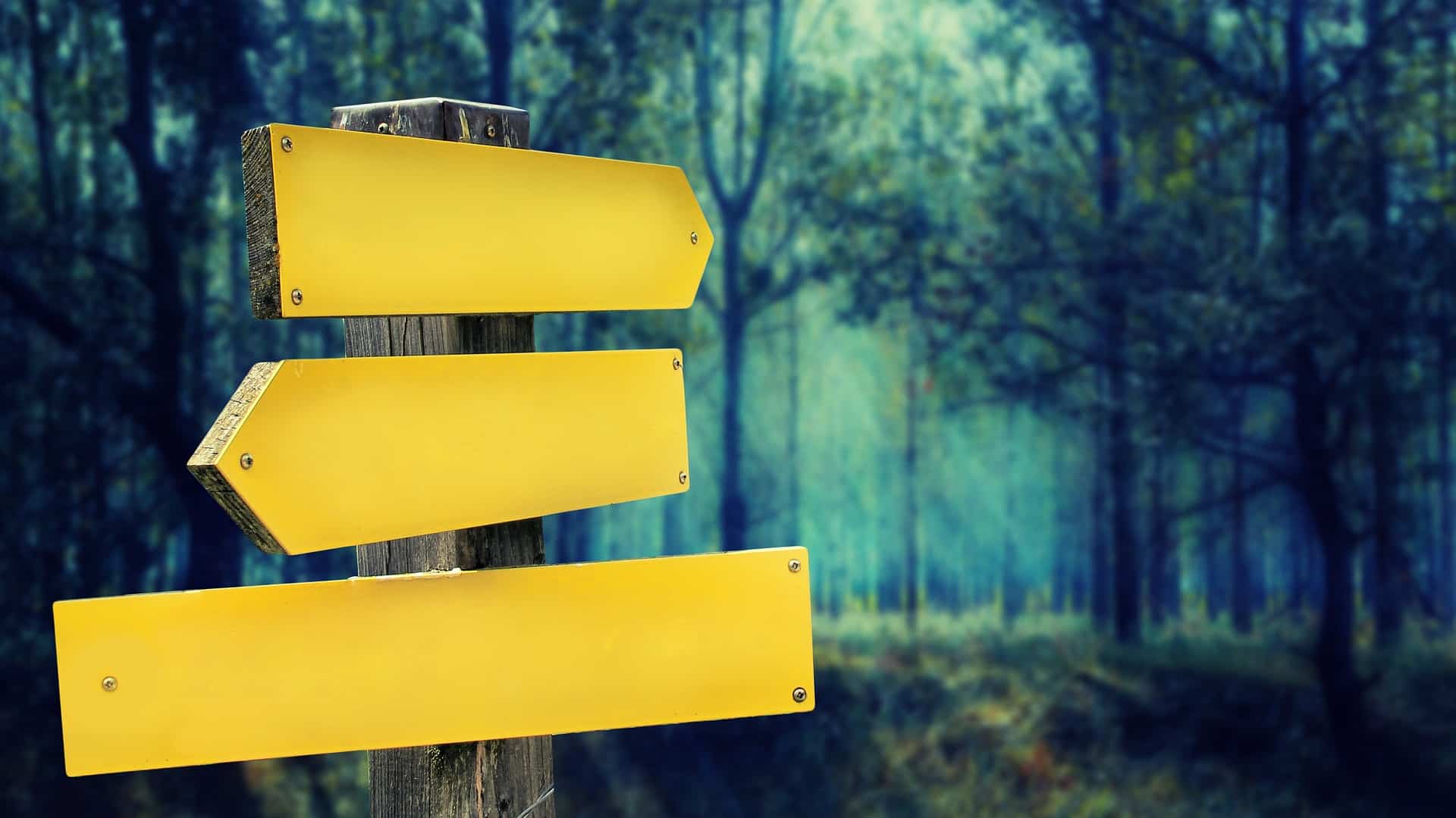 Signposts with yellow signs in the forest - a symbol for internal links in seo